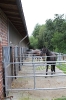 Reithalle_2