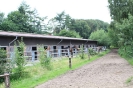 Reithalle_3