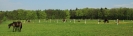 Weide2012__1