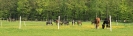 Weide2012__2