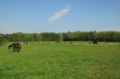 Weide2012__4