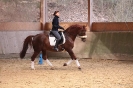 Dressurlehrgang2011_27