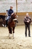 Dressurlehrgang2011_31